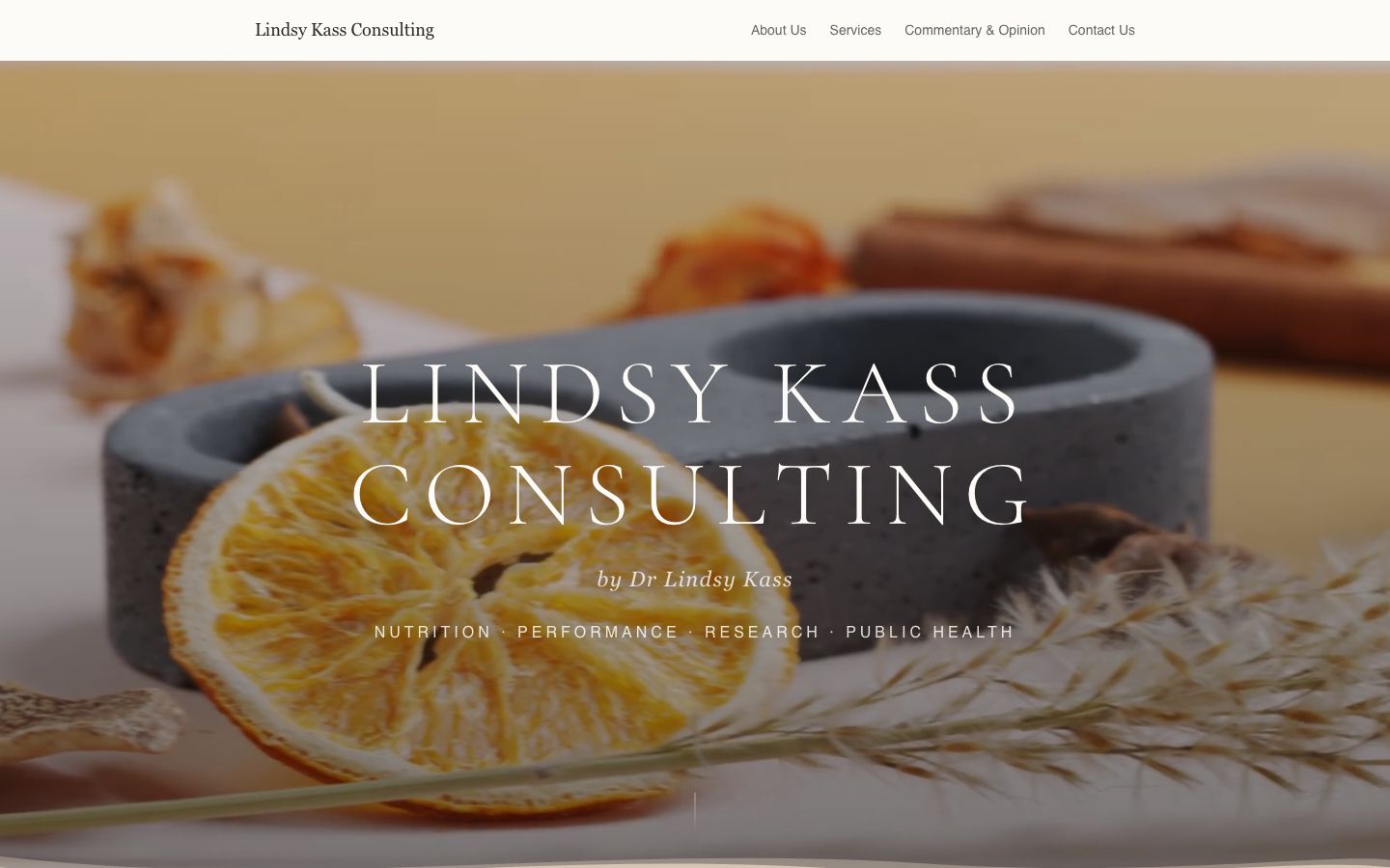 Lindsy Kass Consulting